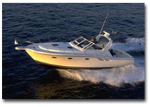 Tiara 3600
