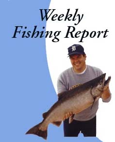 Weekly fishing report