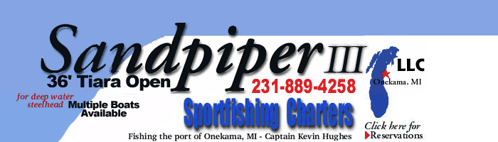 sandpiper